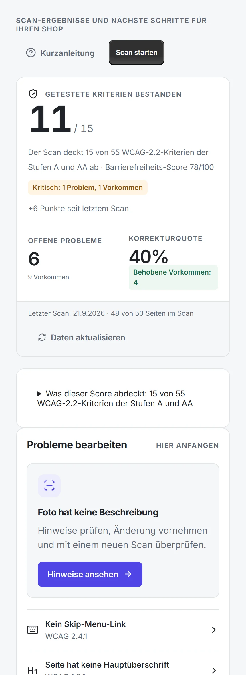 AccessifyAI-Dashboard: 11 von 15 getesteten Kriterien ohne Fund, sechs offene Probleme und das Problem, das zuerst dran ist